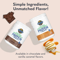 Sprouted Barley Protein + Probiotics Powder - Chocolate