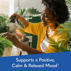 Dr. Formulated Multi Plus Stress and Mood 60ct CAPSULES
