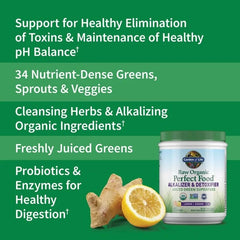 Raw Organic Perfect Food Alkalizer and Detoxifier Lemon-Ginger 9.94oz (282g) Powder