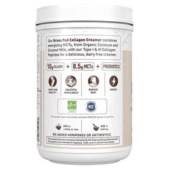 Grass Fed Collagen Creamer Powder - Chocolate