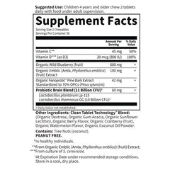 Dr. Formulated Attention & Focus For Kids Watermelon Berry 60 Chewables