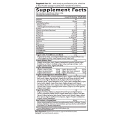 Raw Organic Perfect Food Alkalizer and Detoxifier Lemon-Ginger 9.94oz (282g) Powder
