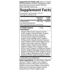 Organics B-12 Organic Spray Raspberry 2 fl oz (58ml) Liquid