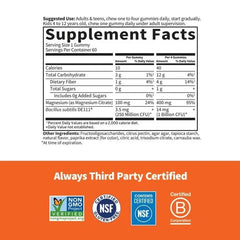 Dr. Formulated Magnesium Gummies - Orange Crème